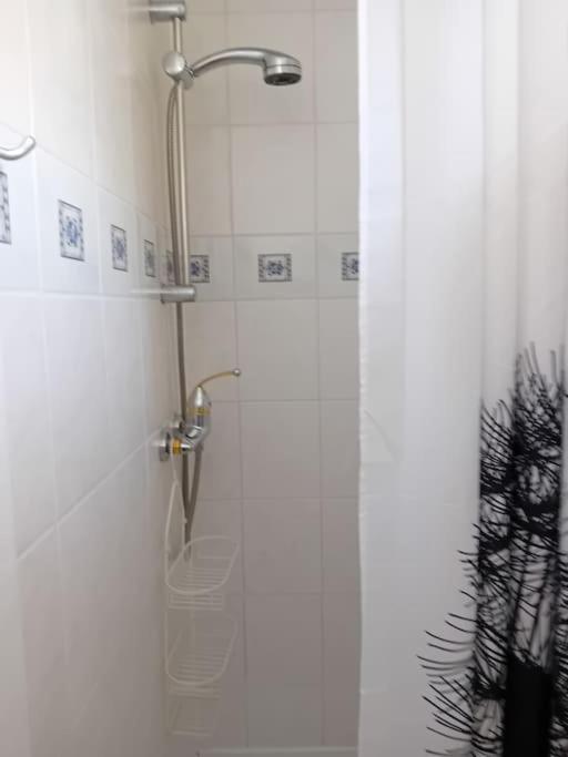 Ferienwohnung Im Luftkurort 格拉绍 外观 照片