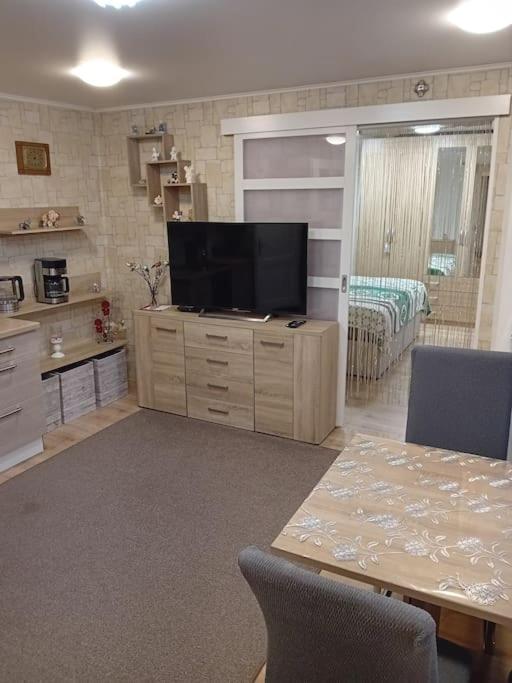 Ferienwohnung Im Luftkurort 格拉绍 外观 照片