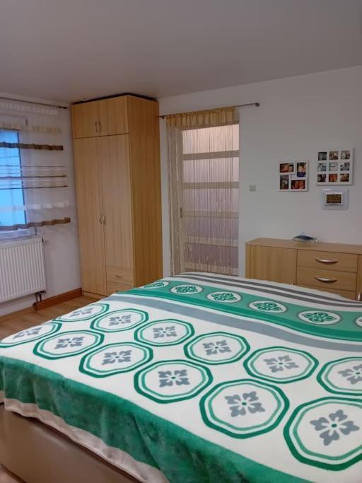 Ferienwohnung Im Luftkurort 格拉绍 外观 照片