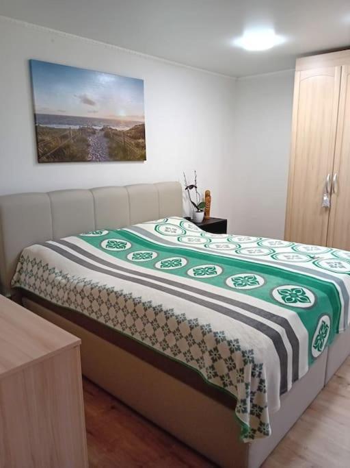 Ferienwohnung Im Luftkurort 格拉绍 外观 照片